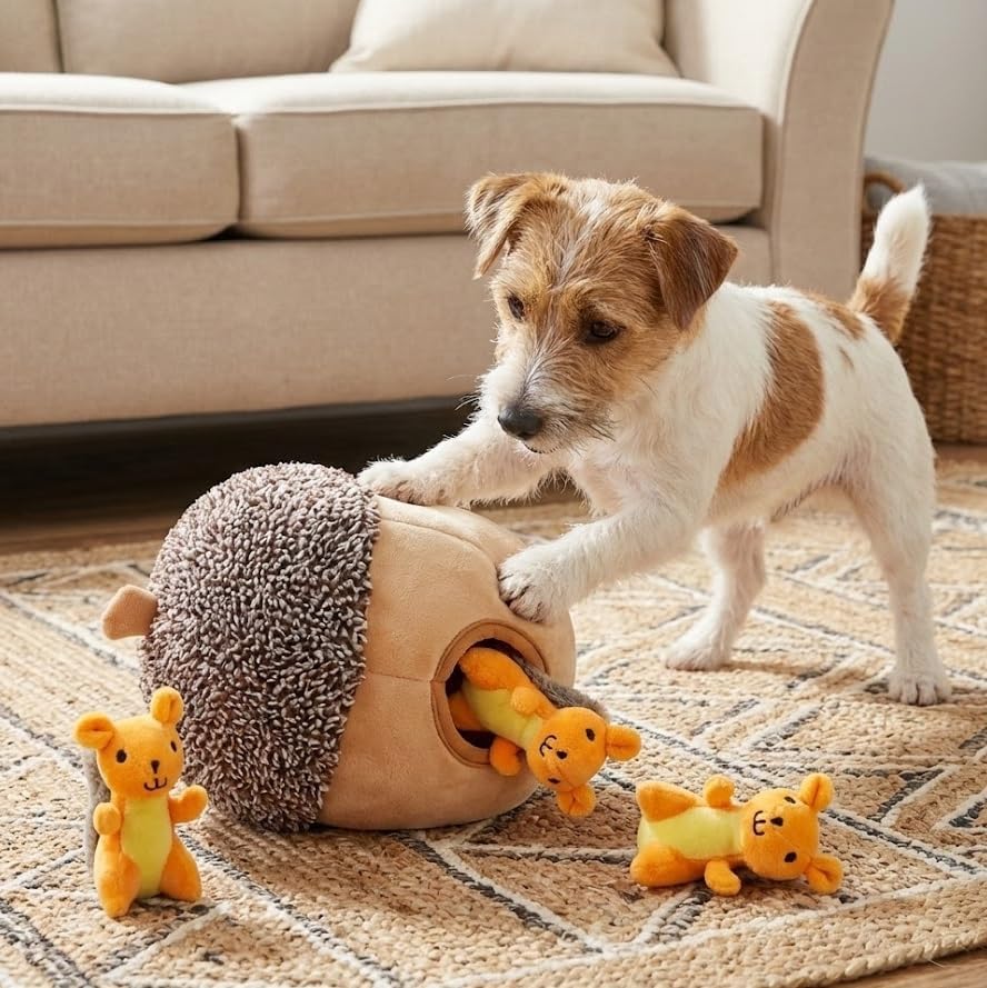 MODERN WAVE - Interactive Squeaky Plush Hide and Seek Squirrel Type Puzzle Toy for Dogs, Medium Size (Nut and Squirrels) - Image 6
