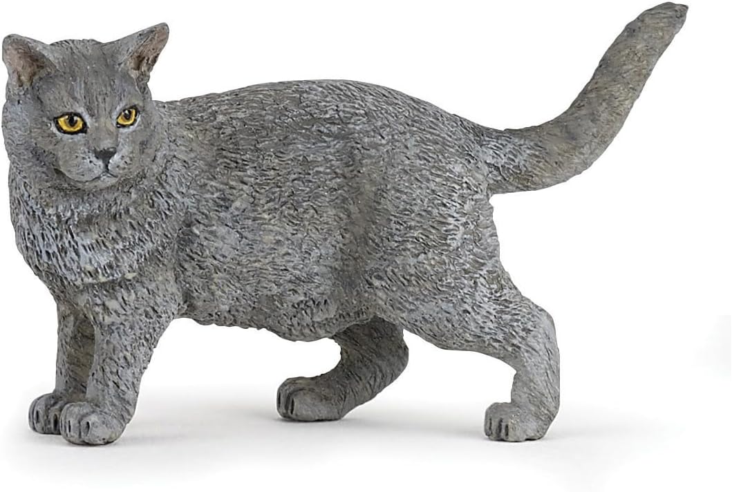 PAPO Chartreux
