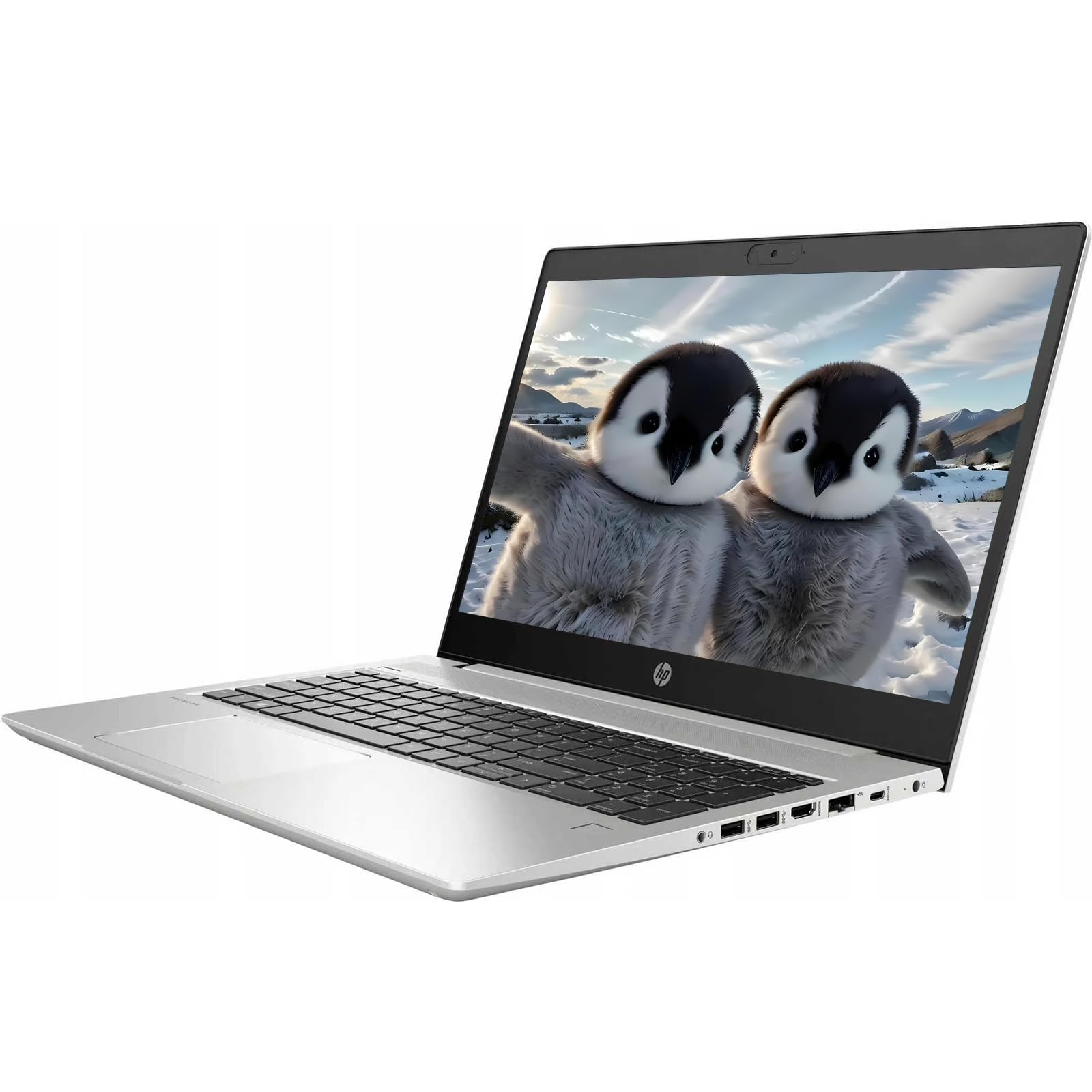Amazon.com: HP ProBook 450 G7 Laptop, 15.6