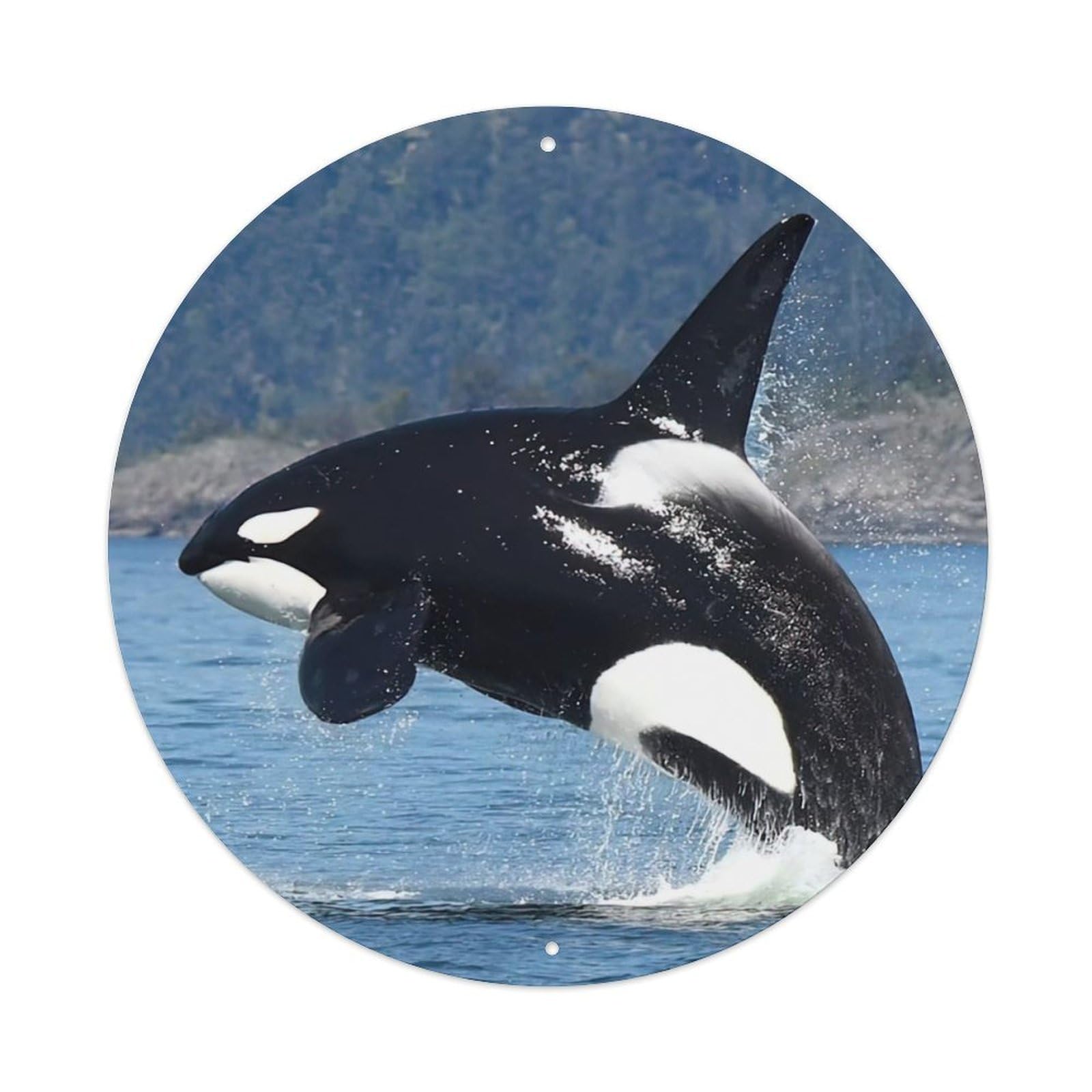 Animals Artwork Killer Whales Jumping Out of The Water Vintage Metal Tin Sign Plaque Wall Decor for Cafe, Club Bar, Office, Garden Metal Poster 8x8Inch