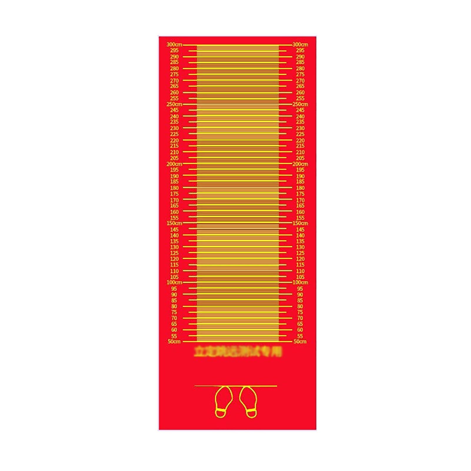 Workout Mats Standing Jumping Mat Sports Long Jump Mat for Home Gym Physical Training Pad for Indoor Outdoor