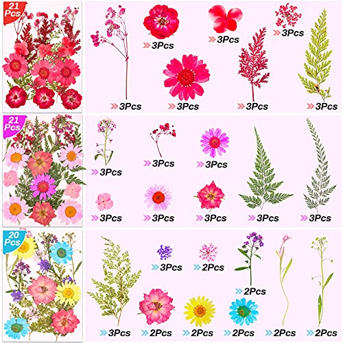 297 Piezas Flores Secas y Stickers de Mariposas para Manualidades miniatura 3