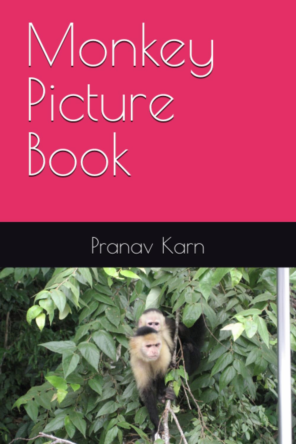 Monkey Picture Book
