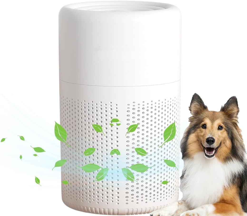 Air Purifiers for Home Bedroom Small Air Purifier with Sleep Mode 3-stage Filter Small Air...