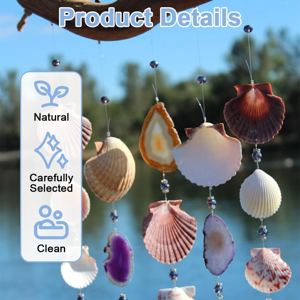 12 białych muszelek, 9-10 cm, duże muszle, muszle, naturalne muszle, do rzemiosła DIY, dekoracja kuchni, dekoracja przekąsek, dekoracja akwarium, na plażę