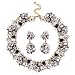 Jane Stone Fashion Gold Collar Necklaces Bling Rhinestone Jewelry Set for Women Girls(Fn1389-Black)