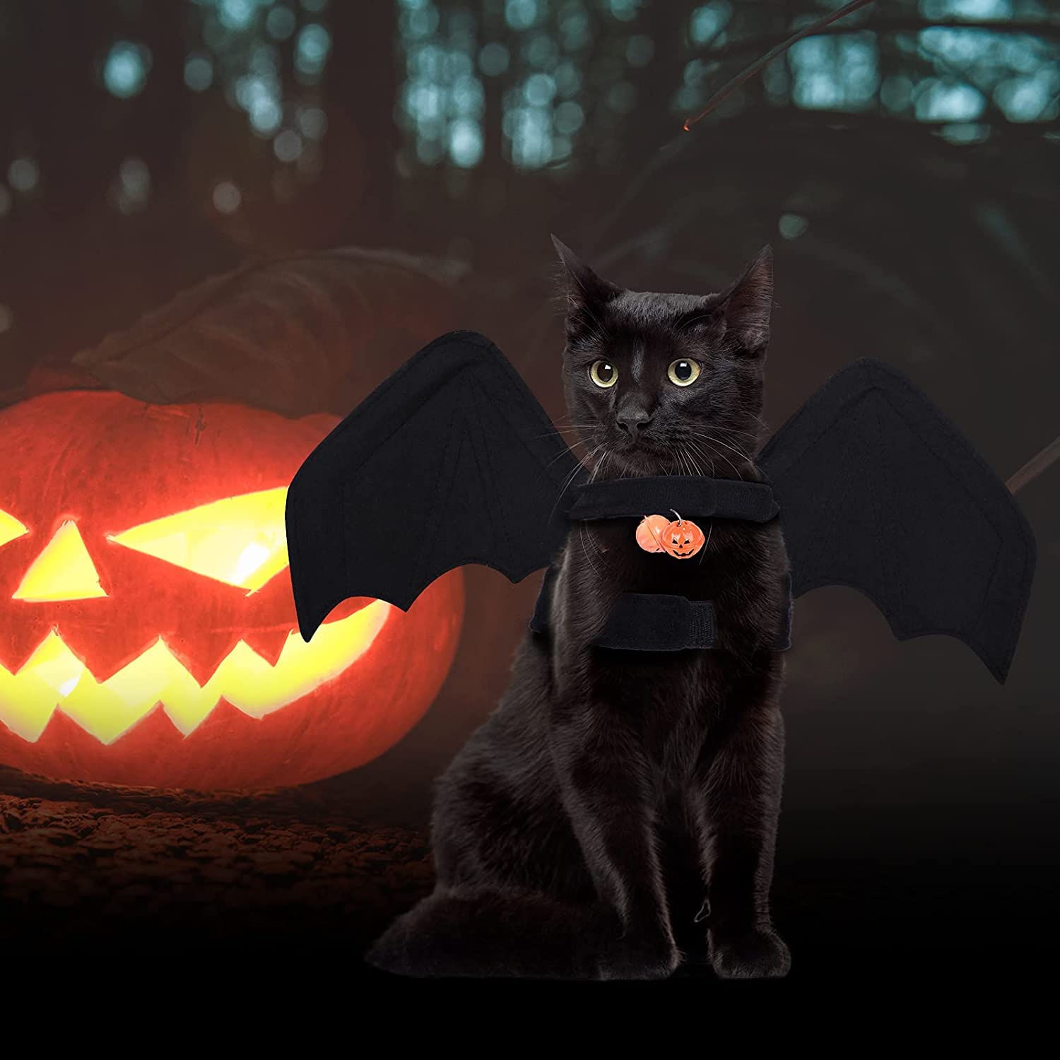 Costume Halloween Chauve-souris Pour Chat/chien - Ailes En Feutre Avec Clochette Citrouille, Réglable