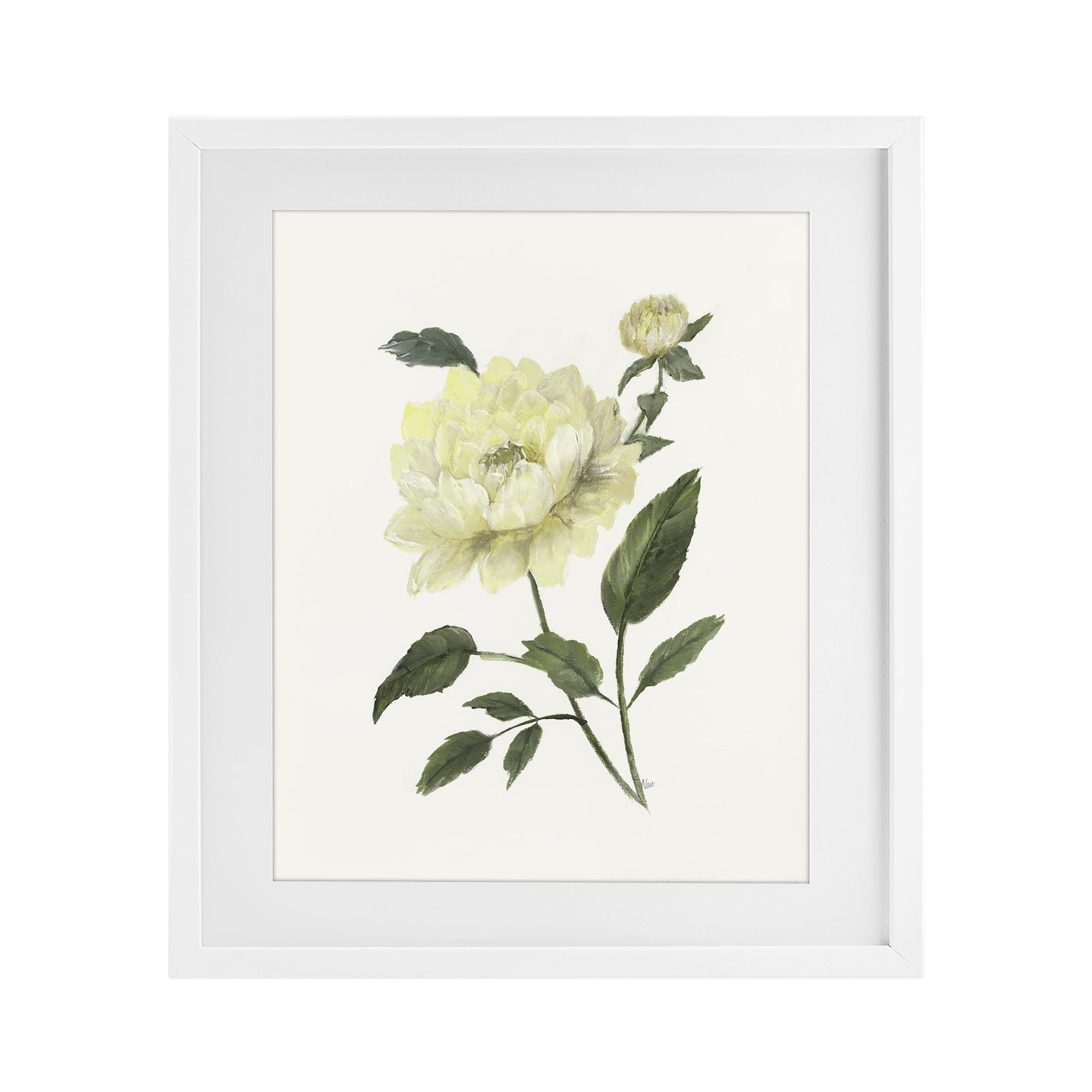 Stupell Industries Cream Garden Peony Floral 'Cream Garden Peony With Buds', Framed Print Under Glass, White, 13 X 16 Inches, Easy To Hang And Sturdy, Made In Usa, By Nan
