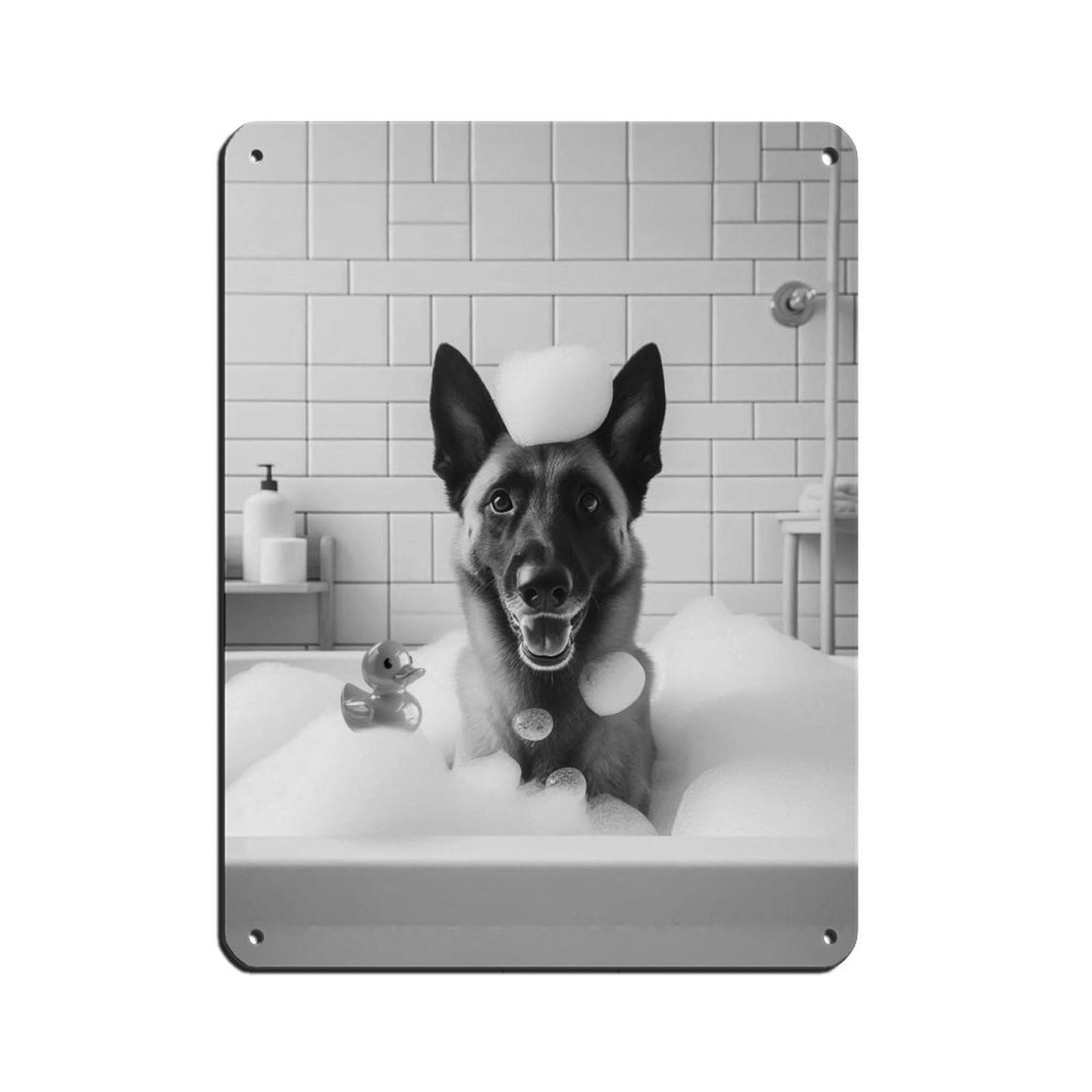Lxwnze 30L X 40W Cm Bernese Mountain Dog,Funny Bathroom Decor（1） Retro Poster Metal Tin Sign Chic Art Retro Iron Painting Bar People Cave Cafe Family Garage Poster Wall Decoration 12X16inch(30X40cm)