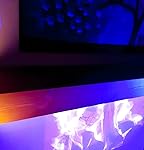 Review Image by Johnson