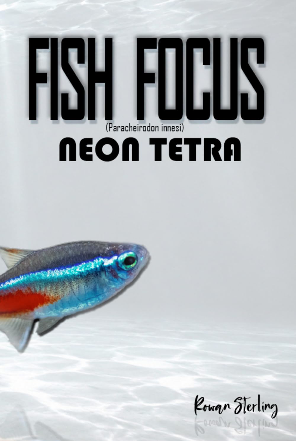Fish Focus: Neon Tetra (Paracheirodon innesi): Behaviour, Care, and Natural Habitat Guide