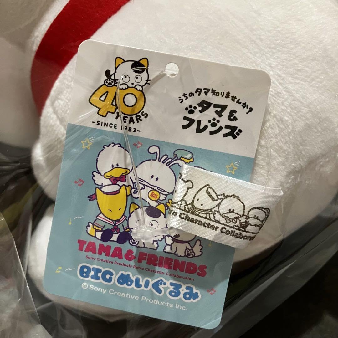 Amazon.co.jp: うちのタマ知りませんか？ タマ＆フレンズ BIG