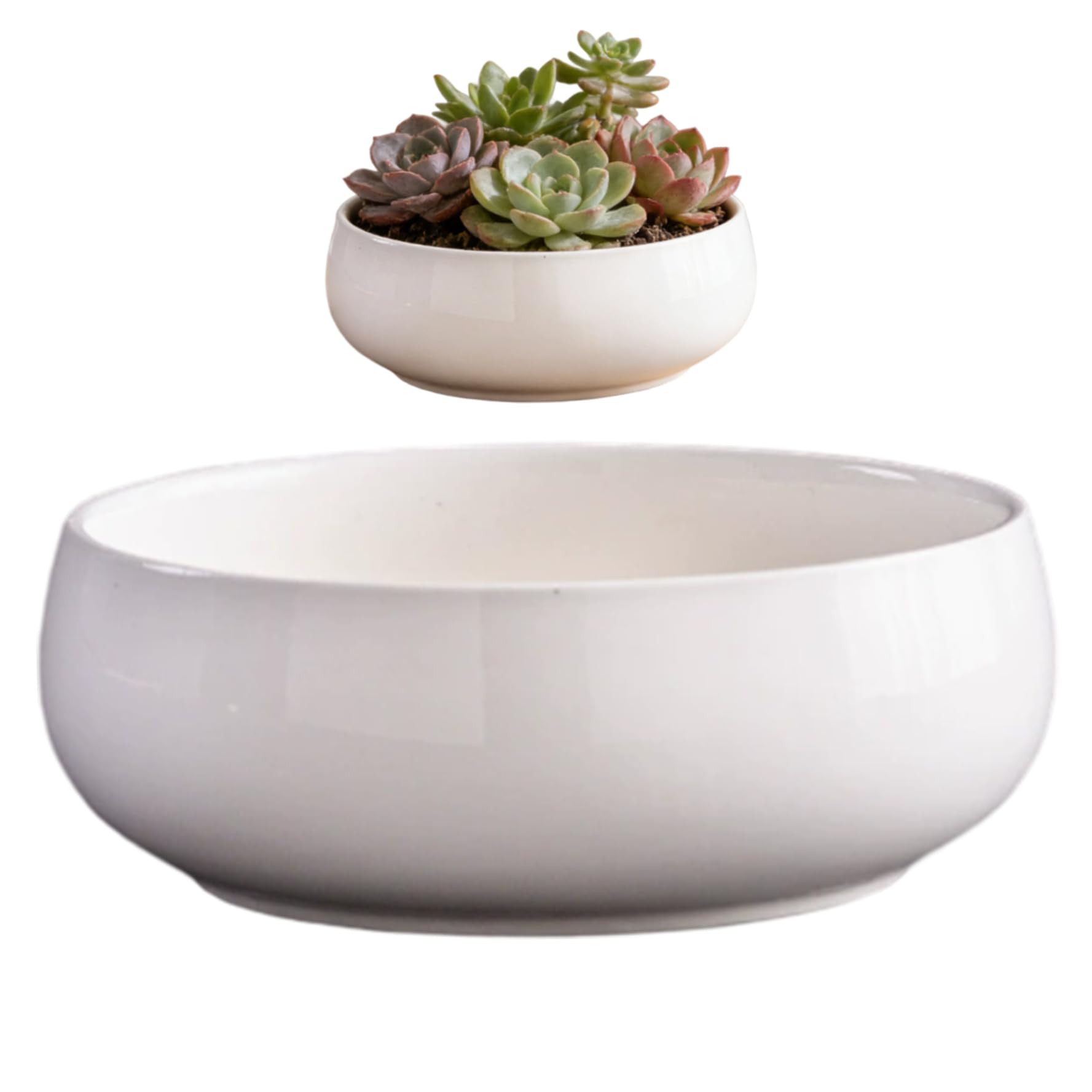 Peosaard Lotus Bowl, 6.5 Inch Ceramic Lotus Bowl Planter Minimalist Shallow Flower Pot for Indoor Outdoor Home Decor, White