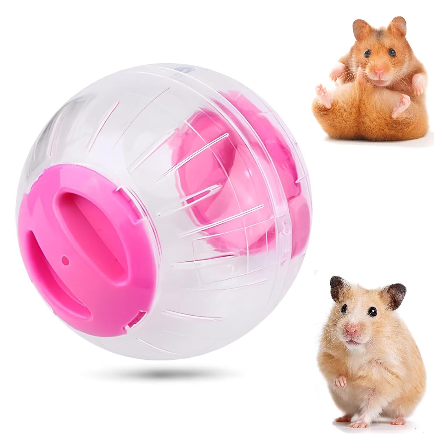 Loopbal Van Hamster. Een Doorzichtige Bal Waarin De Knaagdieren Rond Het Huis Kunnen Lopen. Syrische Hamster Op Een Wandeling in E Stock Video - Video van spel, broodje: 346760267 Loopbal Van Hamster. Een Doorzichtige Bal Waarin De Knaagdieren Rond Het Huis Kunnen Lopen. Syrische Hamster Op Een Wandeling in E Stock Video - Video van spel, broodje: 346760267