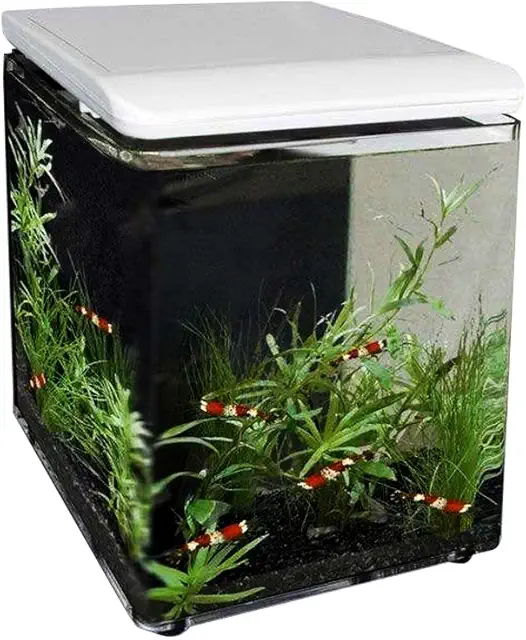 SuperFish Aquarium Home 8 Mini White Nano Tank