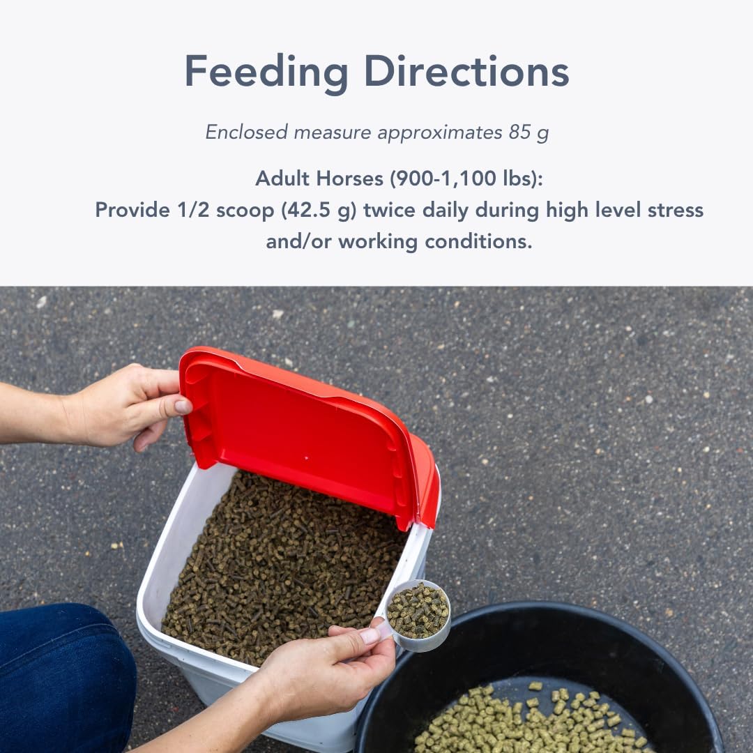 MVP Re-Inforcer EQ Joint/Ligament/Cartilage Support for Horses, 12 lb Pellets, 64 Servings