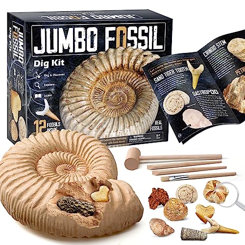 Fossilien Ausgraben Kinder Die 15 besten Produkte im Vergleich kita
