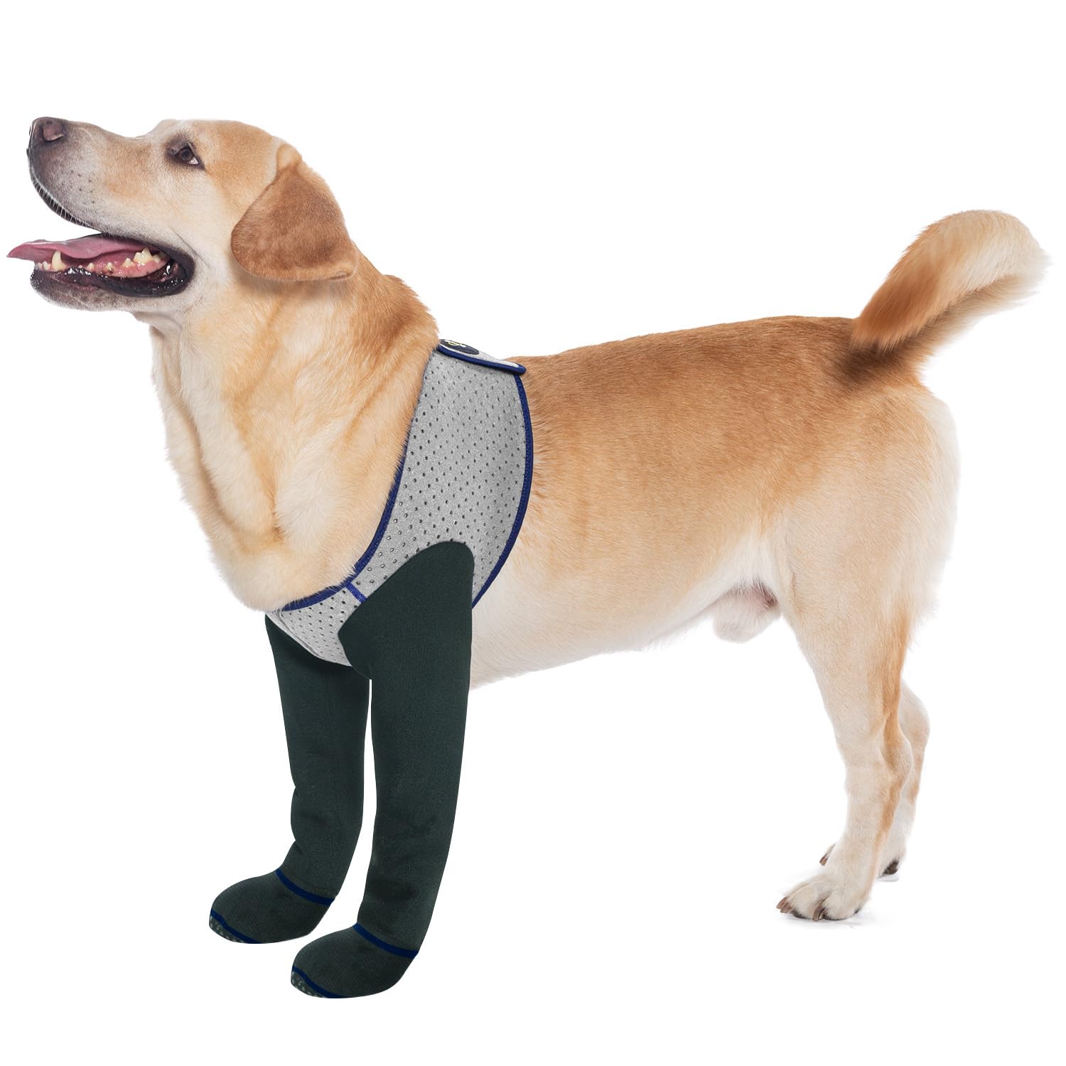 COODEO Chaussettes pour Chien, empêchant de lécher Les Pattes. Bottes avec Semelles antidérapantes pour protéger Les blessures, Chaussures imperméables Contre Le léchage. (Gris, L)