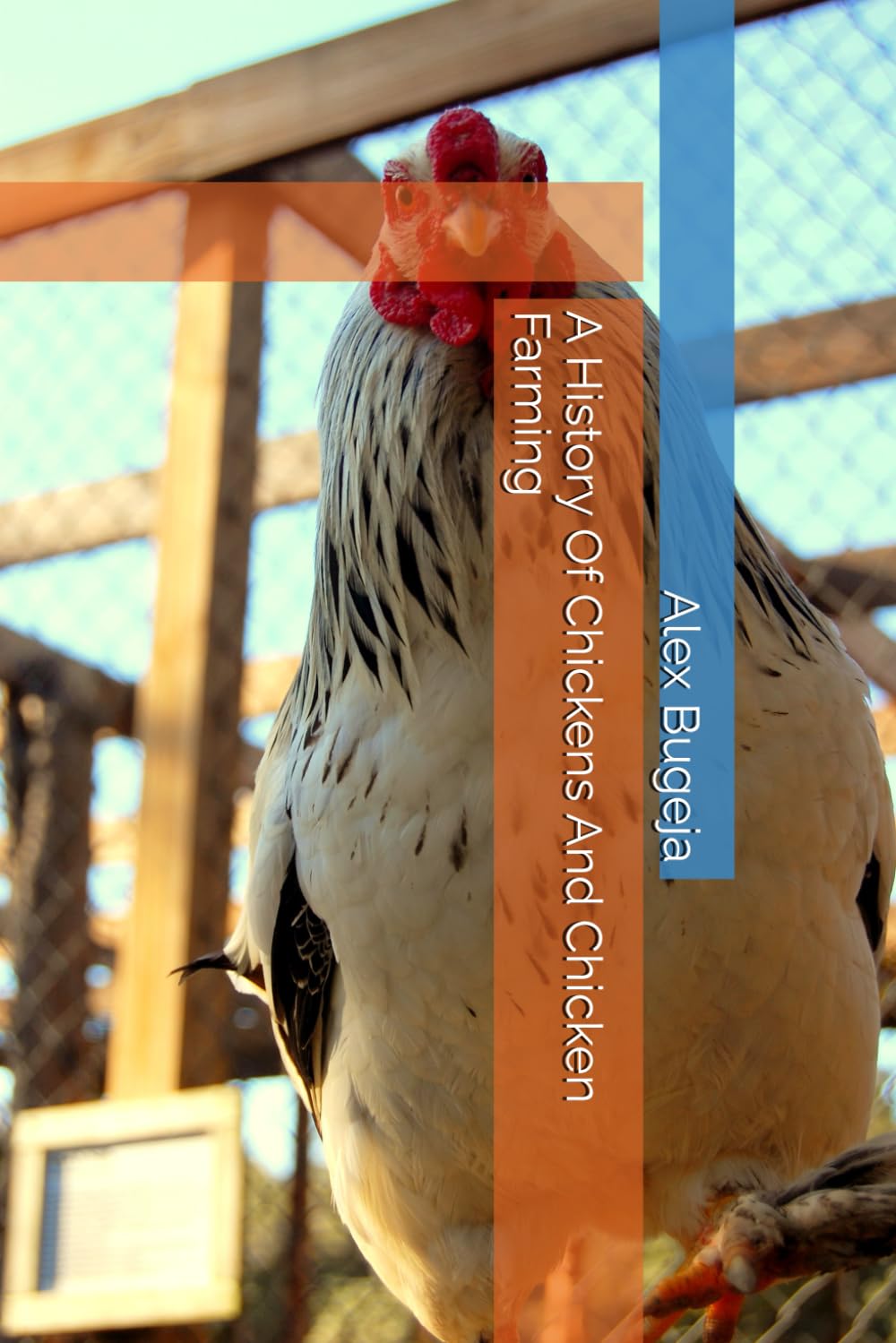 A History Of Chickens And Chicken Farming