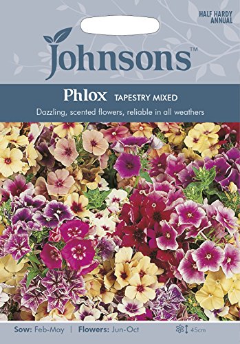 Johnsons Phlox Tapestry Mixed
