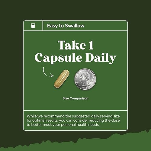 Miniatura 6 de Extracto de grano de café verde puro  Extracto de café verde pastillas de cafeína 50 ácido clorogénico píldoras de energía natural para apoyo