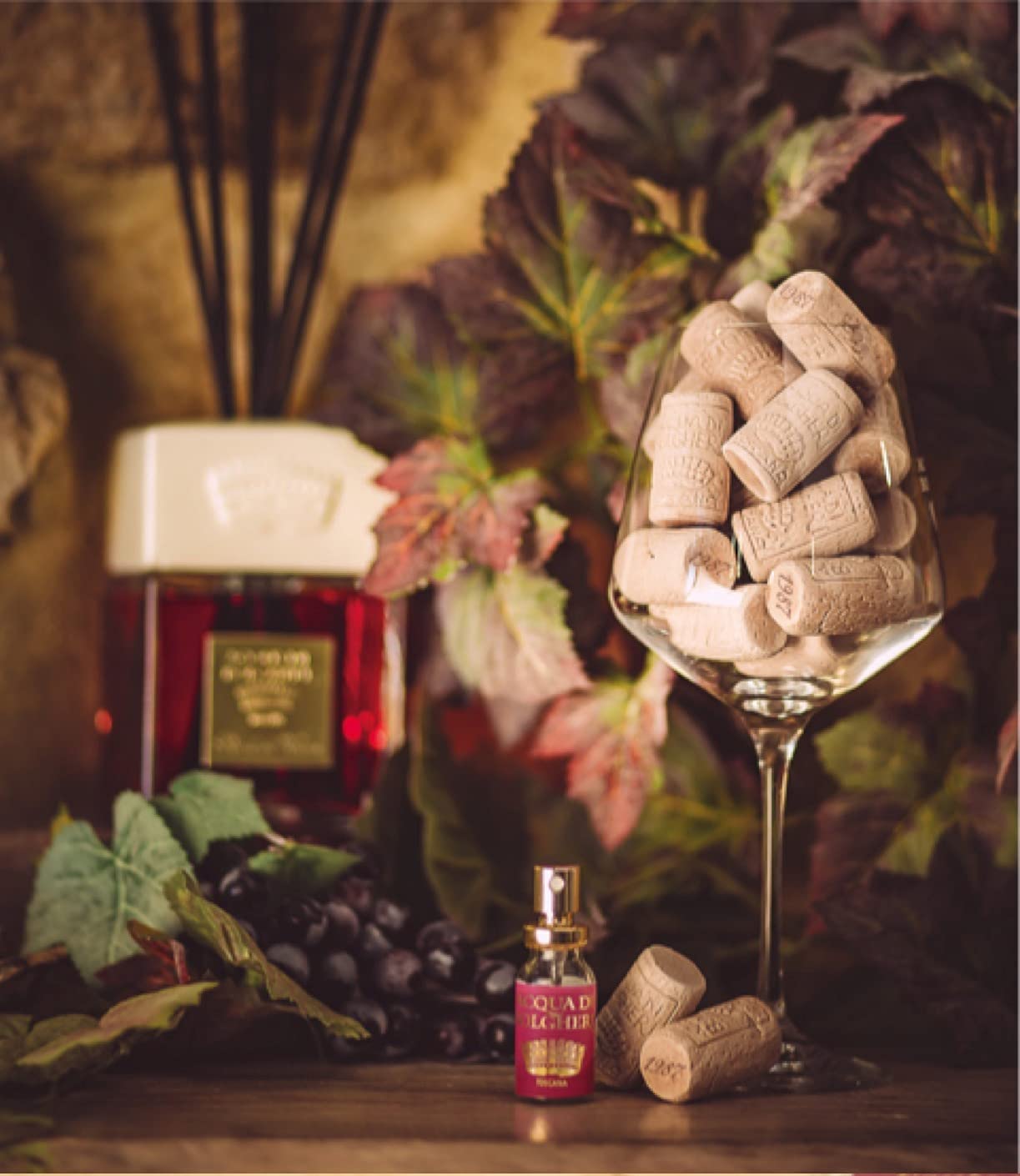 Acqua di Bolgheri EAU DE PARFUM - 100 ml