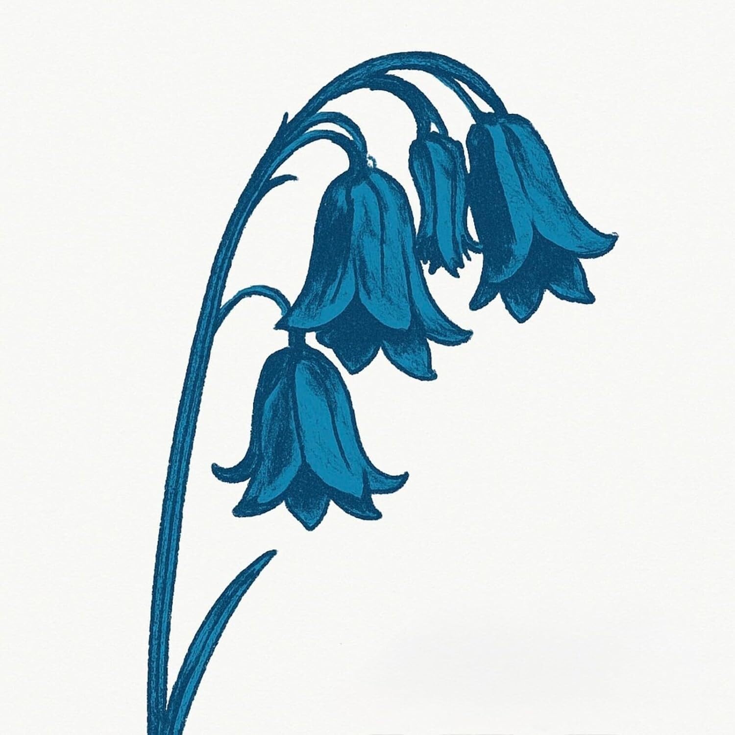 This Is The Bluebells [VINYL]