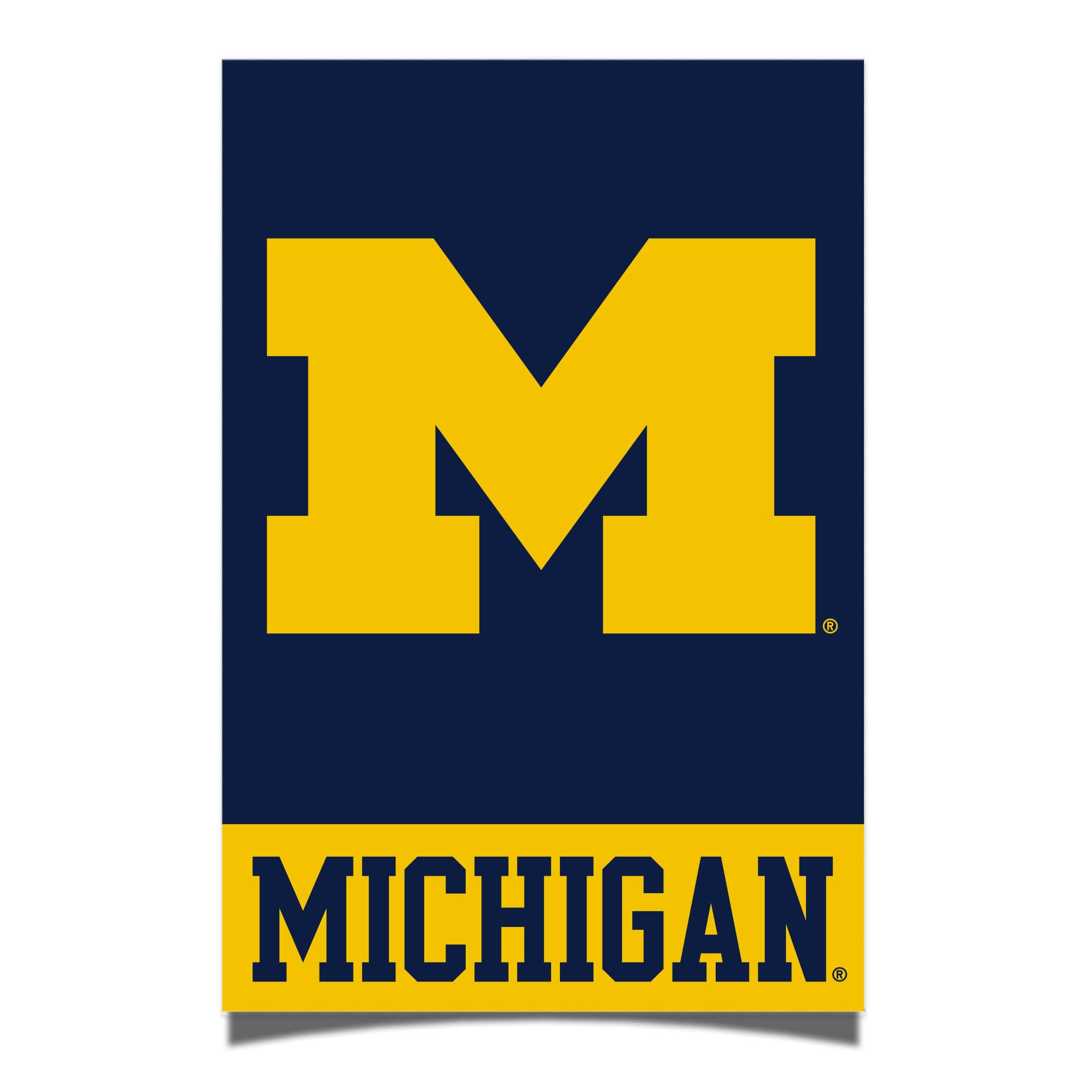 Desert Cactus University of Michigan Poster UM Wolverines 11 x 17 inch Room Office Décor Decoration Official Fan Gear (Version 1A)