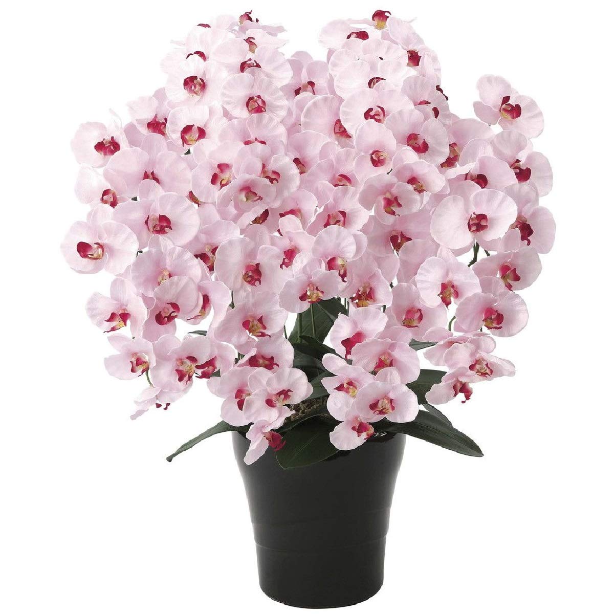 光触媒　人工観葉植物　フェイクグリーン　フレッシュ胡蝶蘭5本立W 胡蝶蘭 フレッシュ胡蝶蘭 5本立W/L 光触媒 造花 フェイクグリーン