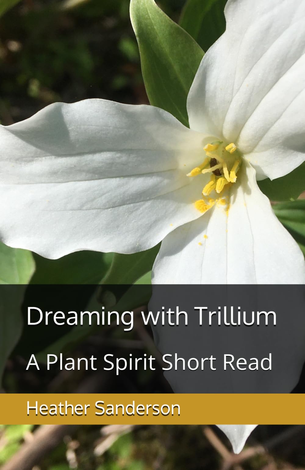 Dreaming with Trillium: A Plant Spirit Short Read (Dreaming with the Plants)