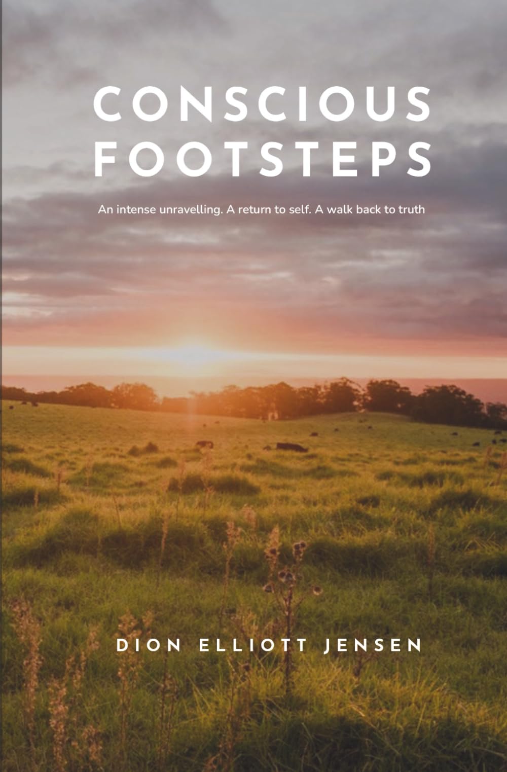 Conscious Imprint Conscious Footsteps