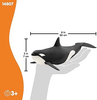 61W87aWFrJL._AC_UF350,