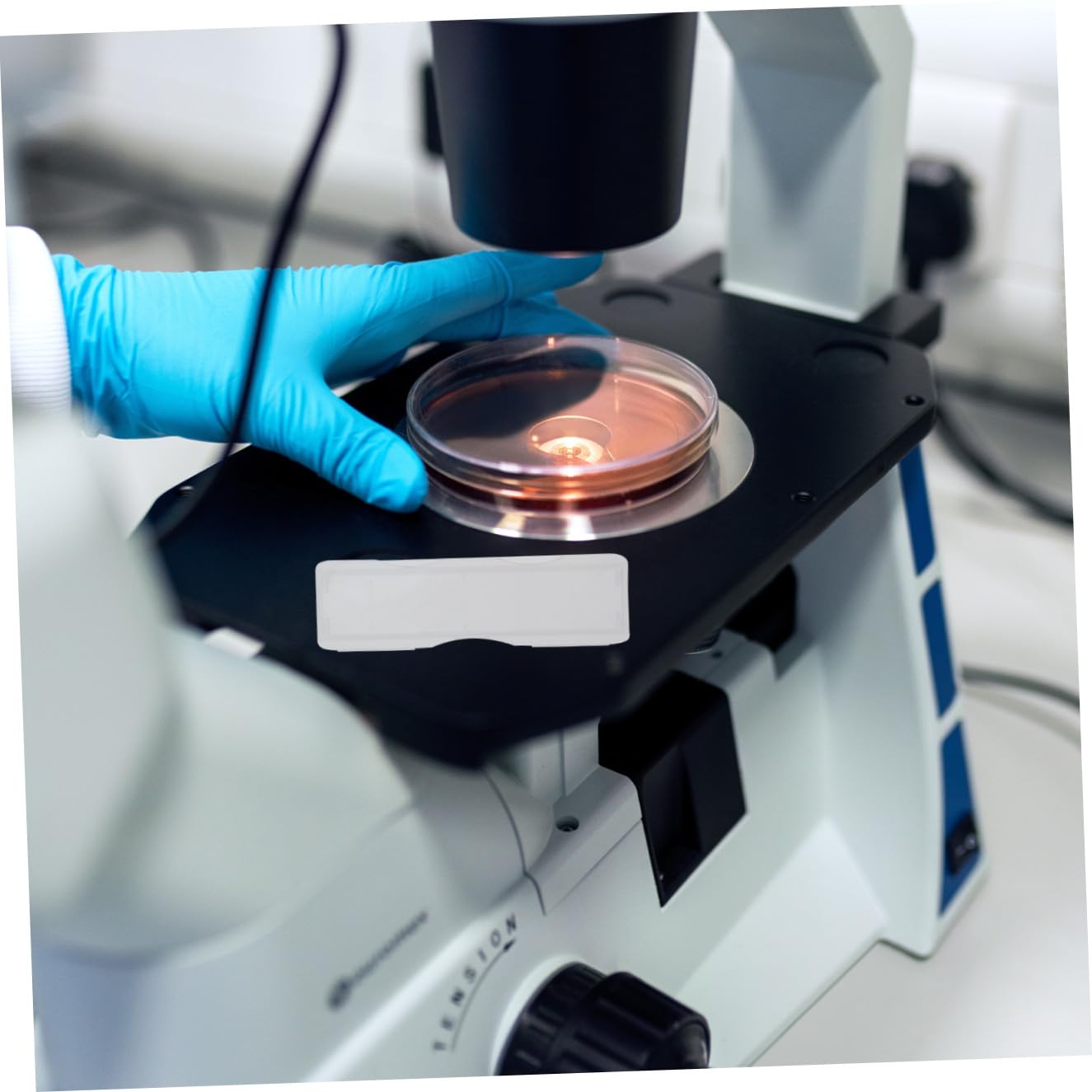 Scatola Portavetrini 100 Pezzi in Pp da Microscopio per Vetrini