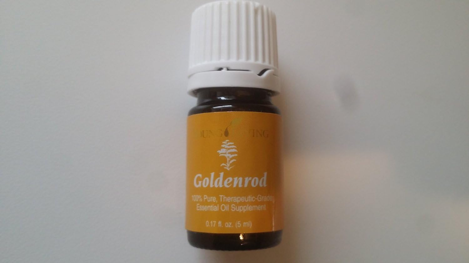 Goldenrod Essential Oil 5ml by Young Living Essential Oils Amazon.ca