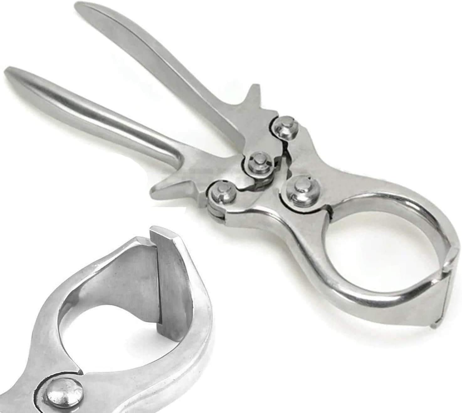OdontoMed2011 Castration Plier, Burdizzo Style, Stainless Steel 9 Inches Length ODM