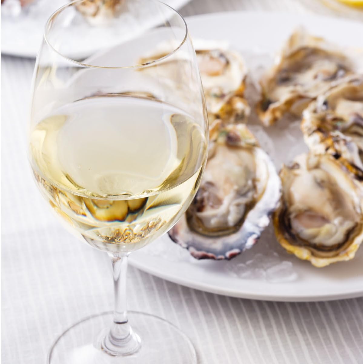 【上品な果実味エレガントな白ワイン】 SILENI (シレーニ) セラー・セレクション・ソーヴィニヨン・ブラン [ 白ワイン 辛口 ニュージーランド 750ml ]