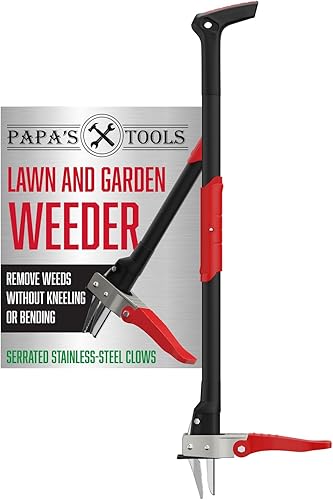 Papa's Tools Weeder - Herramienta extractor de malezas hecha con mango largo de madera, bambú real y cabeza de acero de 4 garras, elimina fácilmente