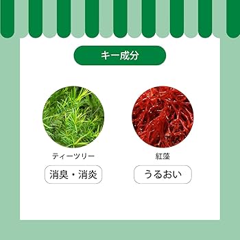 お手入れ・トリミング用品 A.P.D.C. Tea Tree Shampoo 5L 専門店用】APDC ティーツリー シャンプー 5L: 200｜業務用