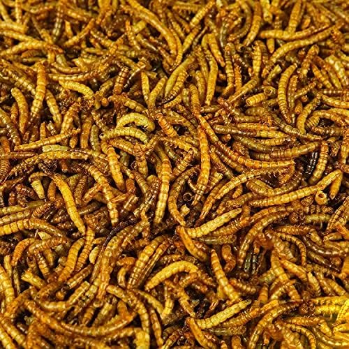 BusyBeaks Dried Mealworms | Premium Garden Wild Bird Food Mix Balanced Formula | Protein-Rich, Great Source of Energy | Contains Beneficial Mixed Vitamins | Large Variety (1kg)