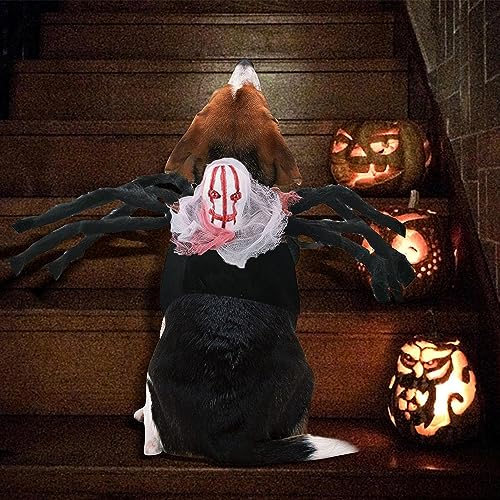 BUKYCAT Halloween-Spinnen-Kostüme für Hunde und Katzen, Spinnenkostüm für Kleine und Mittelgroße Haustiere, Tierdruck, Filzstoff, S