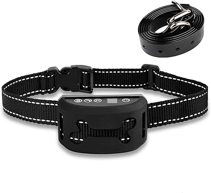 dog training shock collar amazon