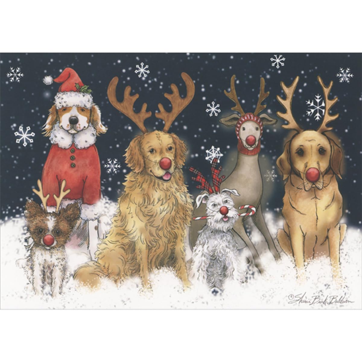 LPG Greetings Lot de 16 cartes de Noël avec un groupe de chiens portant des nez rouges et des bois et de grands flocons de neige blancs