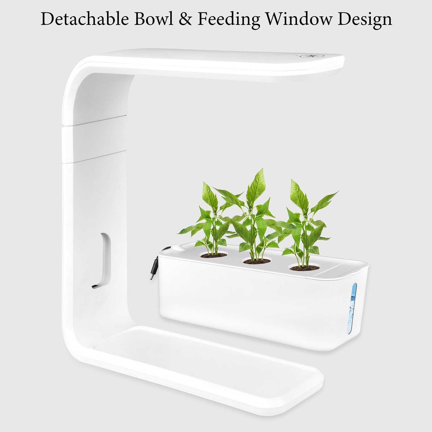 Kit de Cultivo Hidropónico, Jardín de Hierbas Interior con Temporizador de 10H, 3 Cápsulas de Plantas con Riego Automático Por Circulación, Tanque de 1,6L, Lámpara Led, Nivel de Agua Transparen black