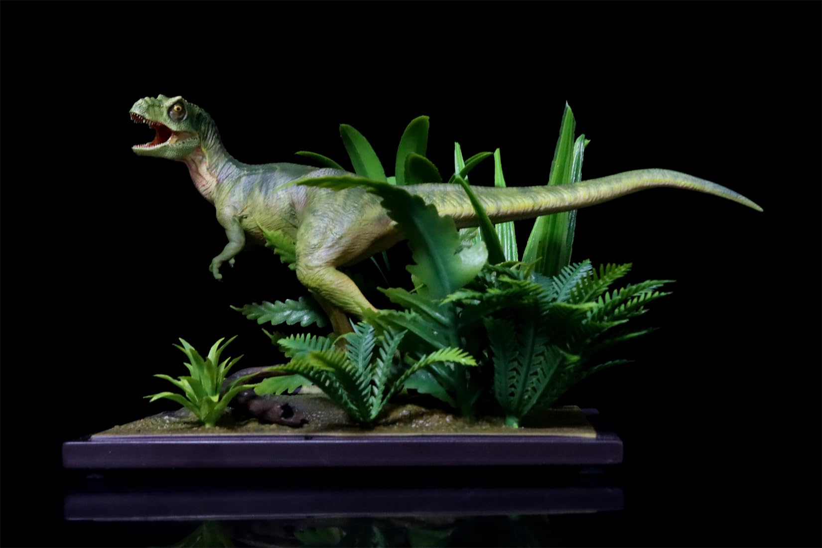 Amazon.co.jp: DINO DREAM 1/30 サイズ ティラノサウルス 幼体