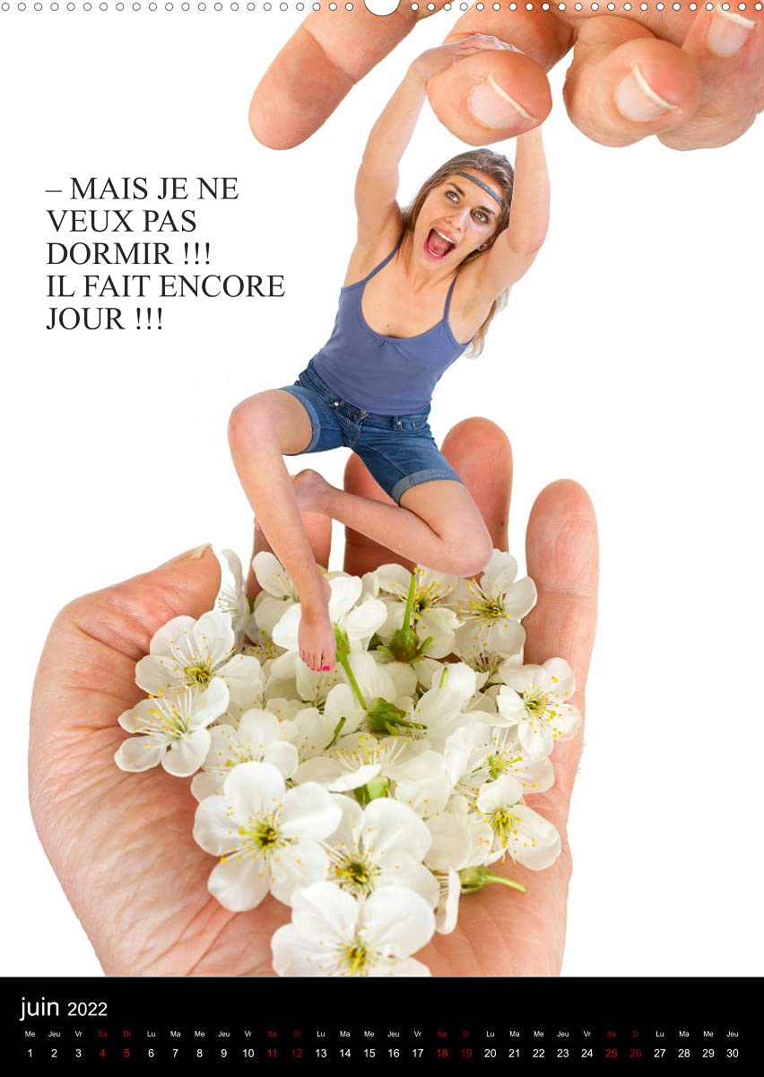 LA FÉE LUTIN UN AN DANS MA MAIN (Premium, hochwertiger DIN A2 Wandkalender 2022, Kunstdruck in Hochglanz): Une petite fée turbulente et aux oreilles ... une main. (Calendrier mensuel, 14 Pages )