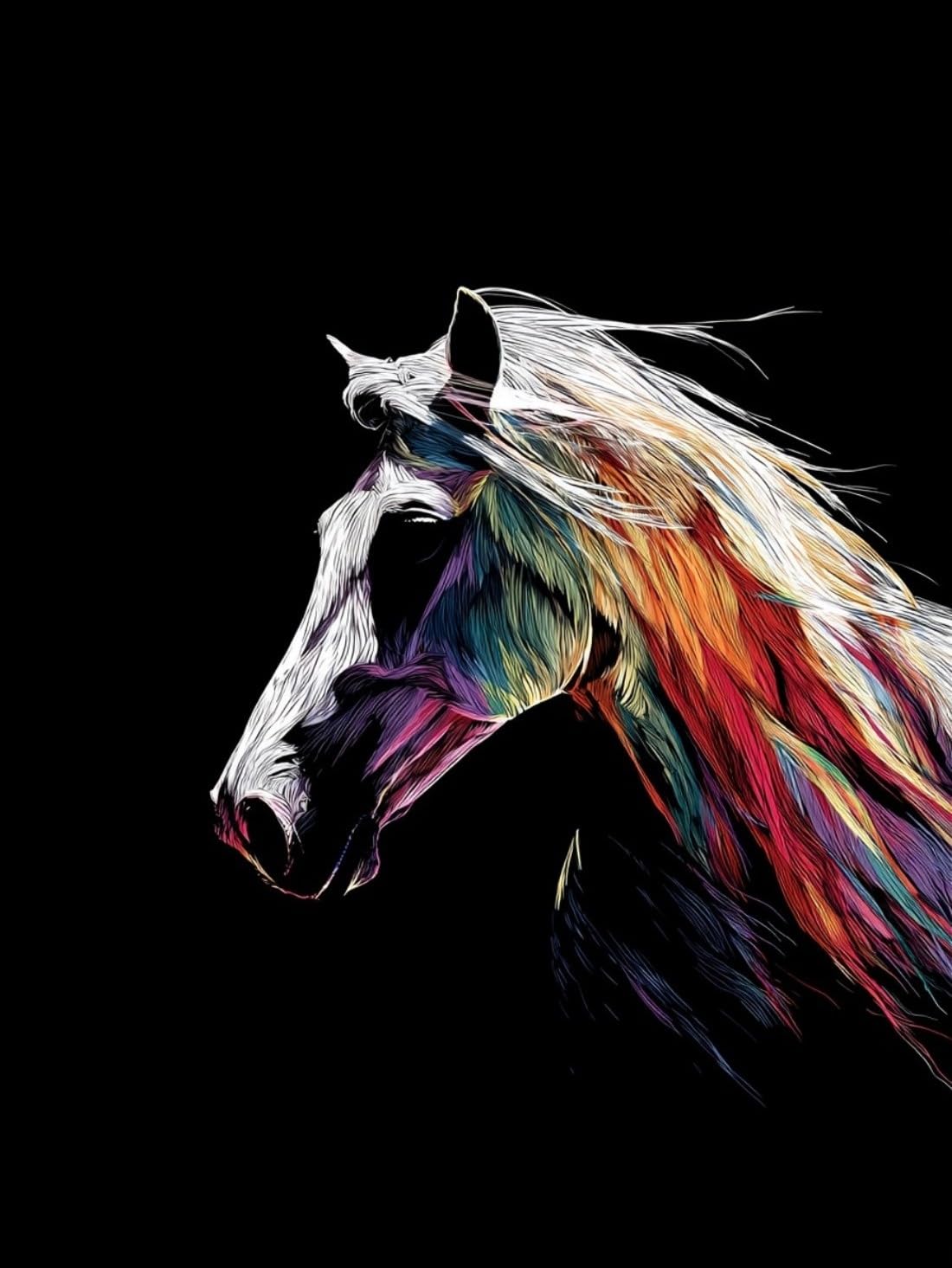 WANGWANGMIAO Paint by Numbers Kit for Adults,Rainbow Horse, DIY Painting with Brushes & Acrylic Pigment, 16x20 Inch, Home Decorations Gift，with Frame