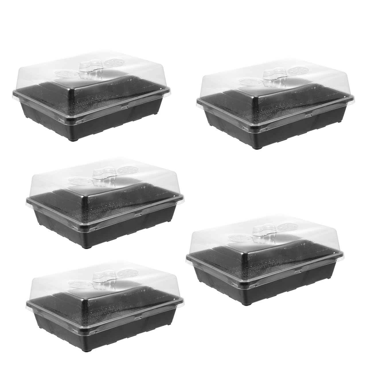 Germination en Plastique Noir, Lot de Sets de Semis