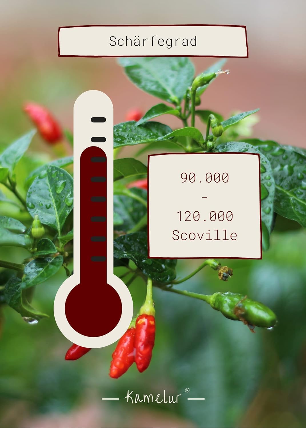 Kamelur Bio Birds Eye Peperoncino (1 kg) condimento peperoncino piccante da coltivazione biologica