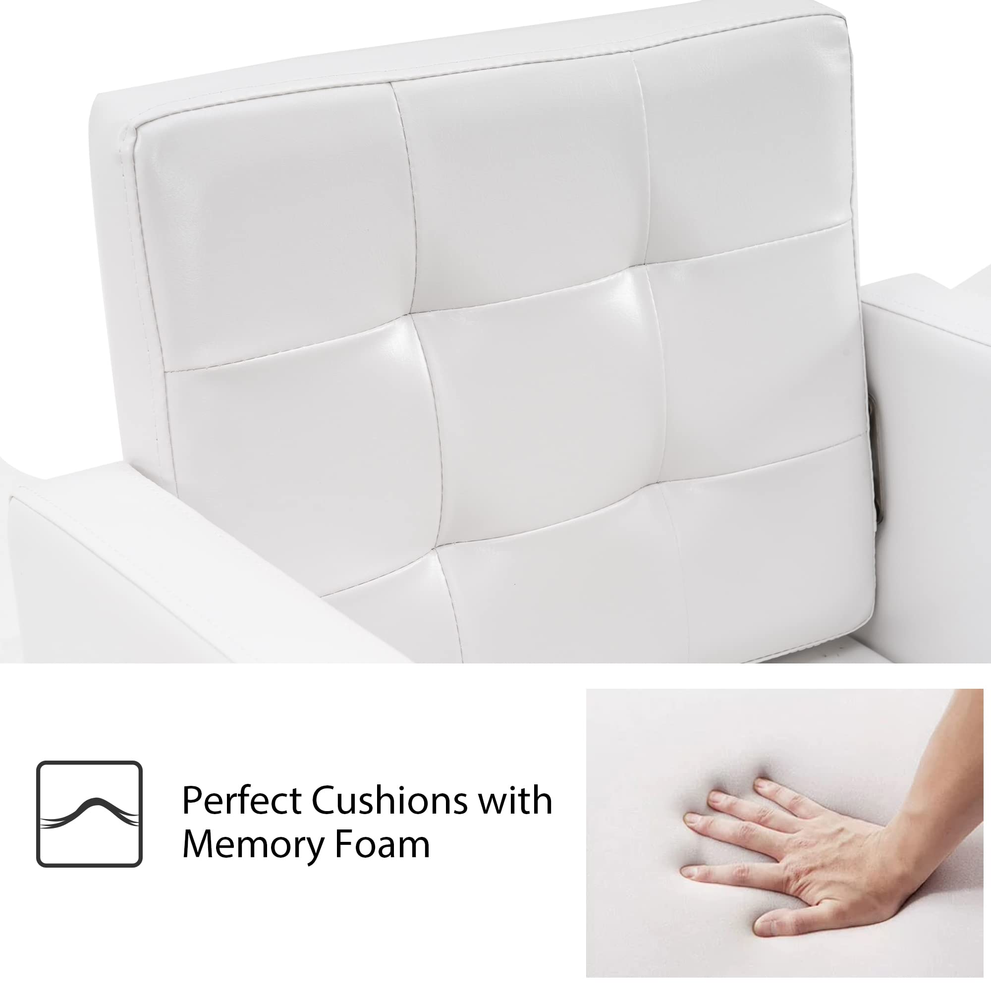 BarberPub Classic Salon Chair for Hair Stylist,Hydraulic Barber Styling Chair,Beauty Salon Spa Equipment 8818 (White)