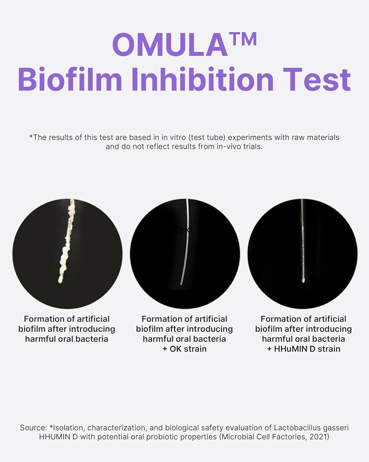 K-Nutra Dentifresh Xylitol Tabs (24g, 30 Tablets) Holiday Gifts 4 Billion CFU, Sugar-Free Oral Probiotics for Teeth & Mouth, Bad Breath Gums, Safe for Bedtime, Mild Grape Flavor with OMULA: Grape